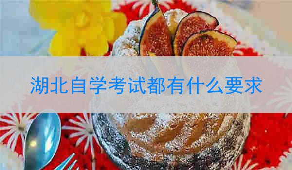 湖北自学考试都有什么要求