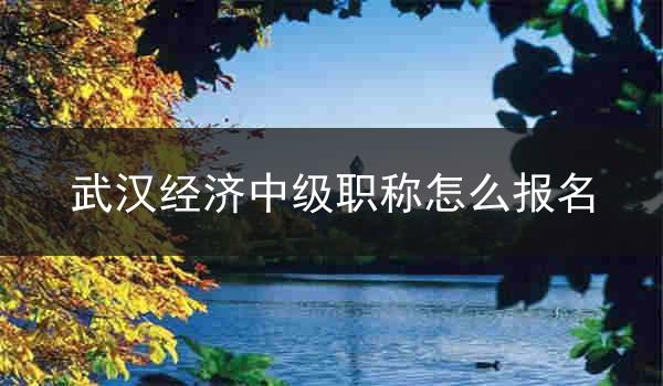 武汉经济中级职称怎么报名