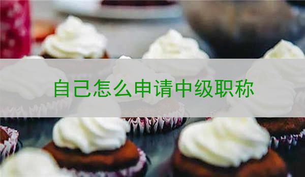 自己怎么申请中级职称
