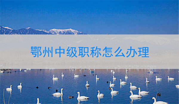 鄂州中级职称怎么办理