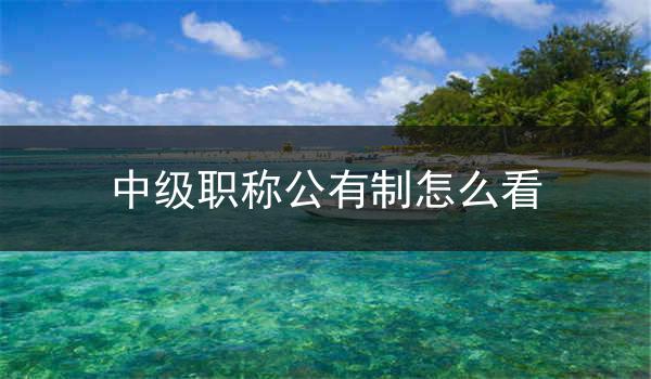 中级职称公有制怎么看