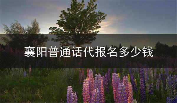襄阳普通话代报名的价格