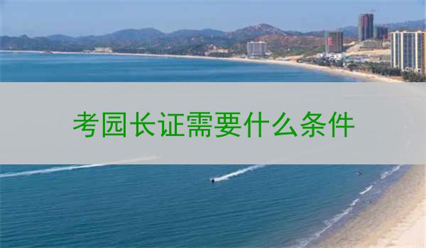 考园长证需要什么条件