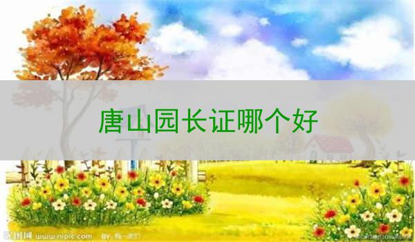 唐山园长证哪个好