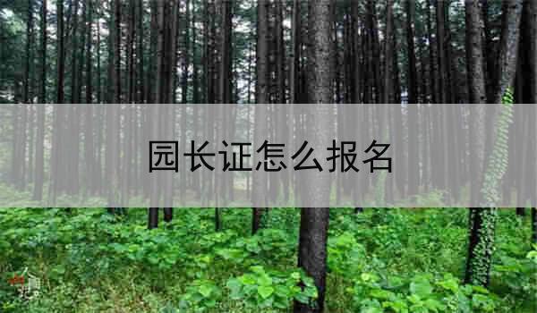 园长证怎么报名