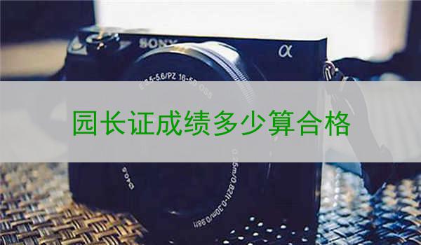 园长证成绩多少算合格