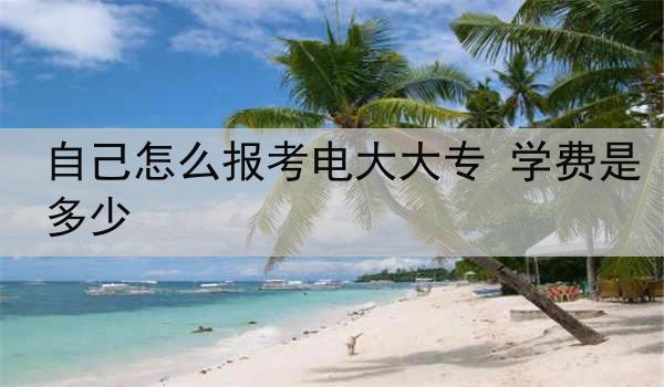 自己怎么报考电大大专 学费是多少