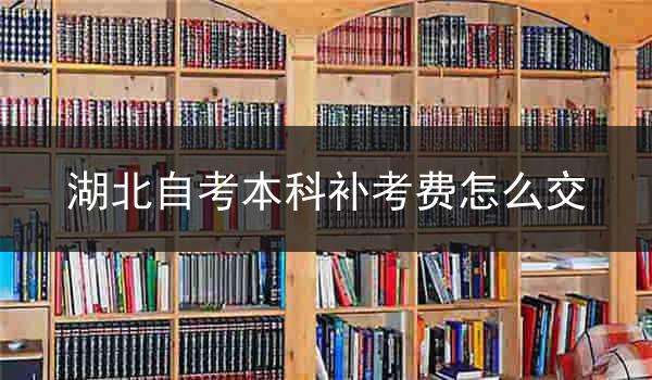 湖北自考本科补考费怎么交