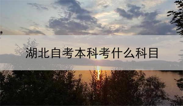 湖北自考本科考什么科目