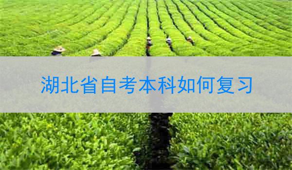 湖北省自考本科如何复习