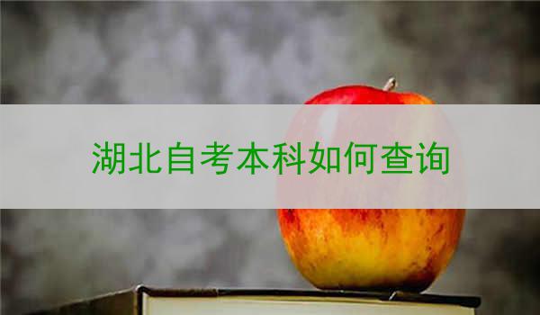 湖北自考本科如何查询