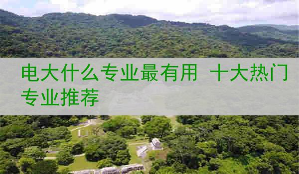 电大什么专业最有用 十大热门专业推荐