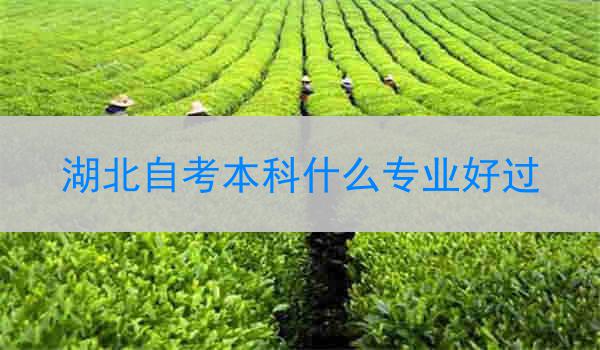 湖北自考本科什么专业好过