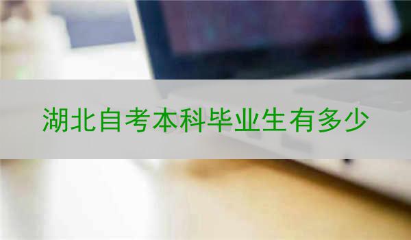 湖北自考本科毕业生有多少
