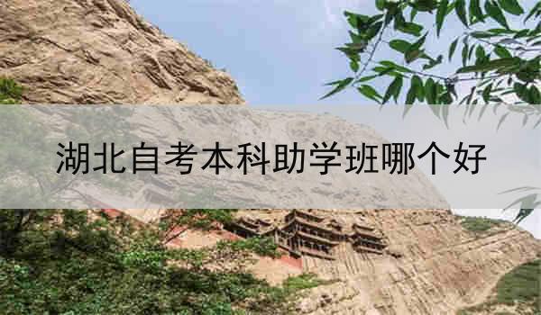 湖北自考本科助学班哪个好