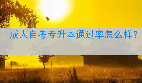 成人自考专升本通过率怎么样？