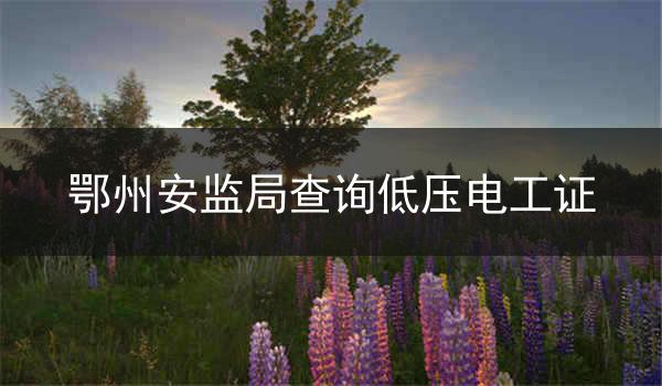 鄂州安监局查询低压电工证