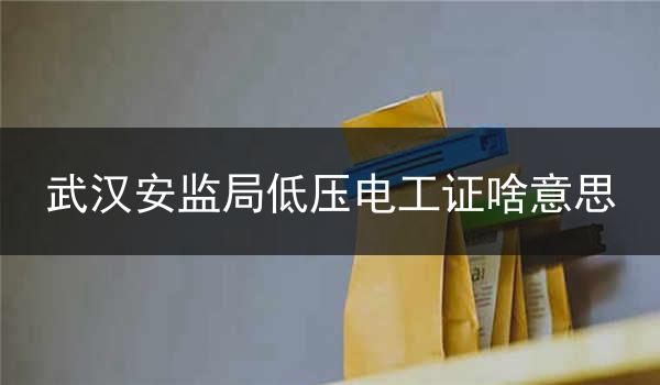 武汉安监局低压电工证啥意思
