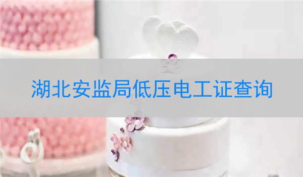 湖北安监局低压电工证查询