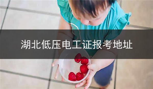 湖北低压电工证报考地址