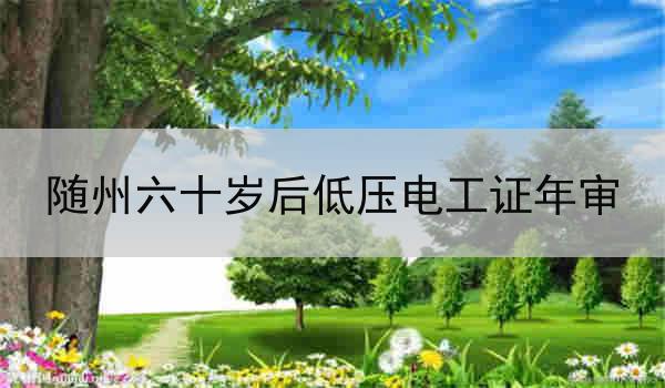 随州六十岁后低压电工证年审