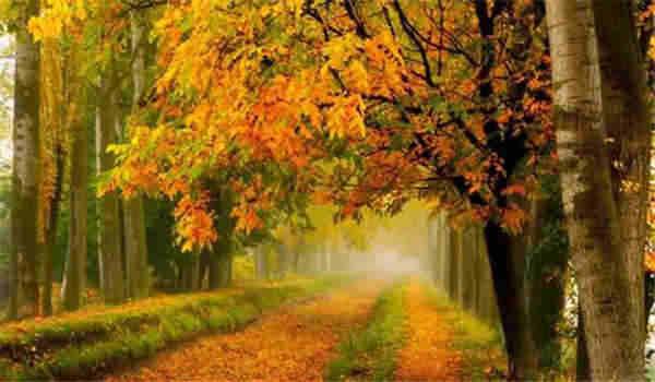 武汉低压电工证怎么报考