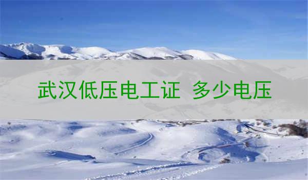 武汉低压电工证 多少电压