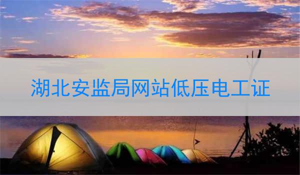 湖北安监局网站低压电工证