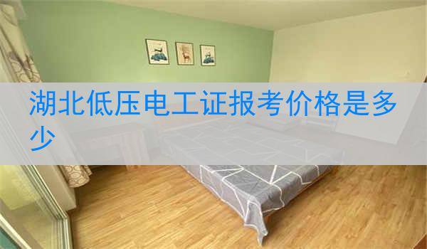 湖北低压电工证报考价格是多少