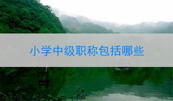 小学中级职称包括哪些