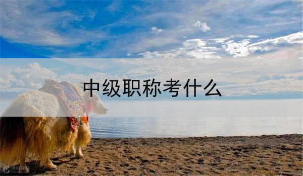 中级职称考什么
