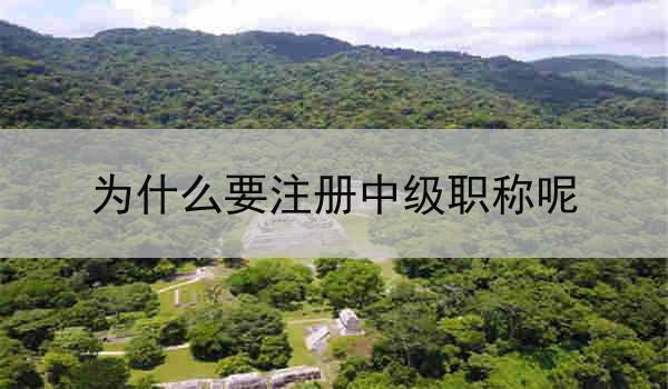 为什么要注册中级职称呢