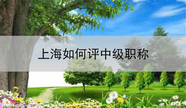 上海如何评中级职称