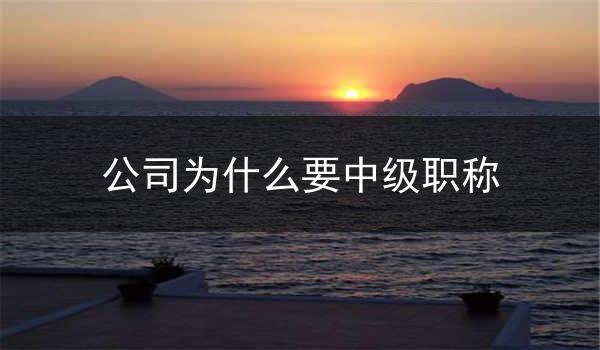 公司为什么要中级职称