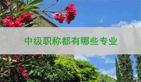 中级职称都有哪些专业
