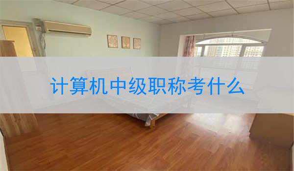 计算机中级职称考什么