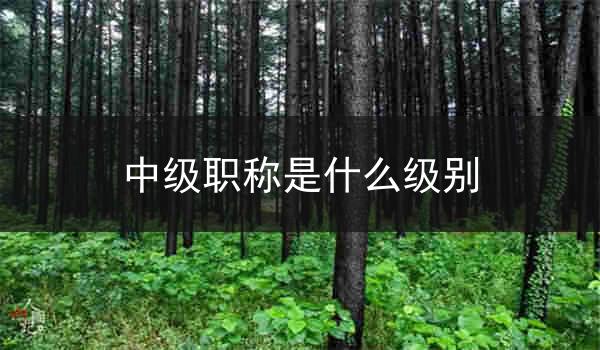 中级职称是什么级别