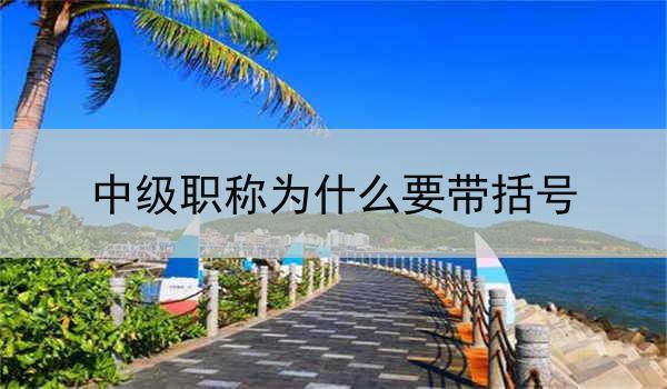 中级职称为什么要带括号