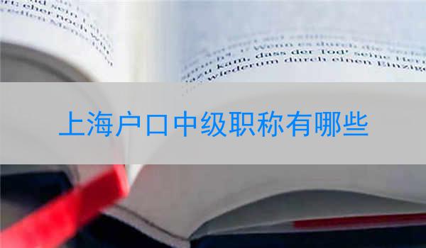 上海户口中级职称有哪些