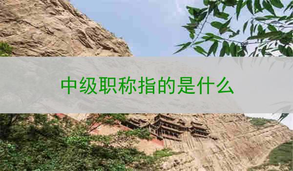 中级职称指的是什么