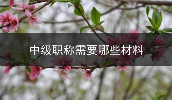 中级职称需要哪些材料