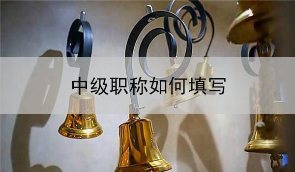 中级职称如何填写