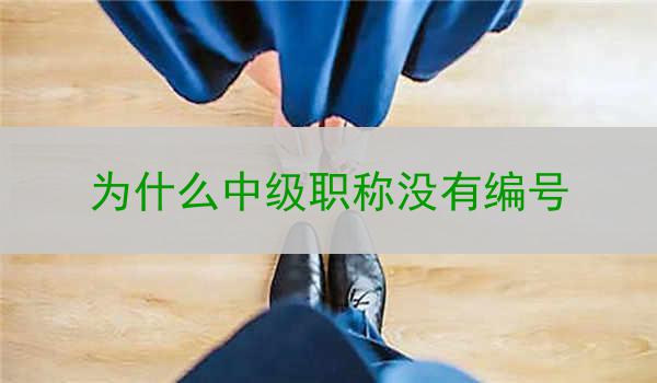 为什么中级职称没有编号