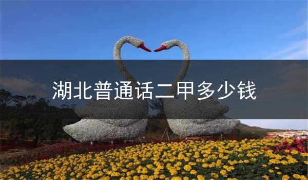 湖北普通话二甲的价格