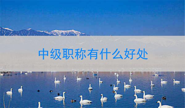 中级职称有什么好处