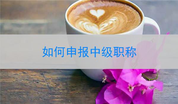 如何申报中级职称