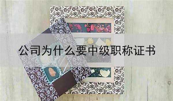 公司为什么要中级职称证书
