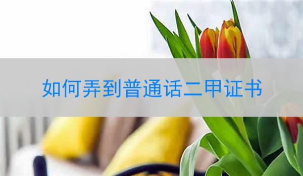 如何弄到普通话二甲证书