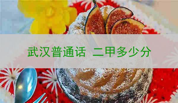 武汉市二甲考试分数标准和内容介绍