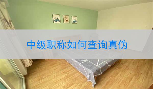 中级职称如何查询真伪